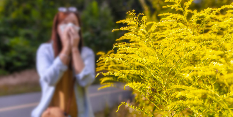 Can Allergies Affect Your Ears And Cause Hearing Loss 