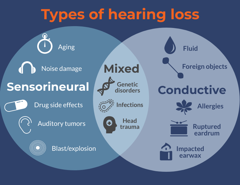 conductive hearing loss vs sensorineural hearing loss